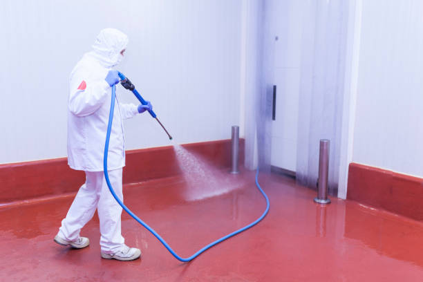 Trusted Rosepine, LA  Pressure Washing Services Experts